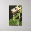 Search for tree frog art Vertical