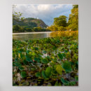 Search for sri lanka posters Nature