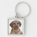 Search for rhodesian ridgeback dog key rings Puppy