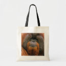 Search for borneo bags Pongo pygmaeus