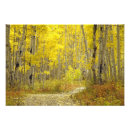 Search for aspen art Woodland