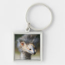 Search for beak key rings Outdoors