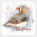 Search for finch Animal