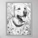 Search for labrador retriever art Illustration