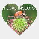 Search for green beetle stickers Insect