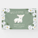 Search for lamb Little lamb