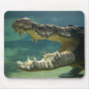 Search for crocodiles mouse mats Nature