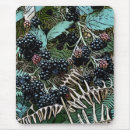 Search for computer blackberry electronics Fruit