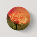 Search for orange flowers badges Pretty