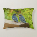 Search for swallow cushions Nature