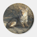 Search for lay magnets Outdoors