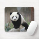 Search for china panda mouse mats Mammal