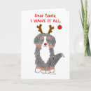 Search for bernese mountain dog christmas cards Santa