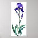 Search for purple iris art Fine
