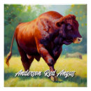 Search for angus cow posters Livestock