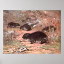 Search for antique mouse posters Mice