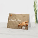 Search for beach houses cards Travel