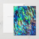 Search for paua postcards Abalone