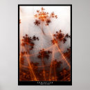 Search for evolution sports posters Nature
