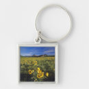 Search for flat key rings Environment