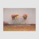 Search for bicycle tissue paper Flowers