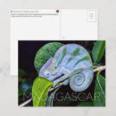 Search for madagascar postcards Africa