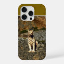Search for tigers cases Cat