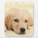 Search for dog picture mouse mats Create your own photo