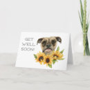 Search for bulldog get well cards Pet