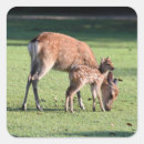Search for parent and child stickers Cute