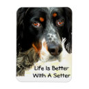 Search for setter magnets English