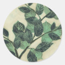 Search for leaf background stickers Leaves