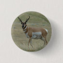 Search for horns badges Antelope
