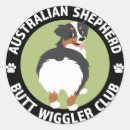 Search for australian shepherds stickers Pet