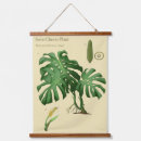 Search for swiss art Botanical