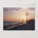 Search for dauphin postcards Sunset