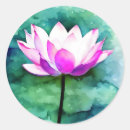 Search for pink lotus flower stickers Nature