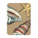 Search for the shell magnets Nature