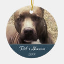 Search for pitbull christmas tree decorations Blue