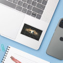 Search for space centre stickers Universe