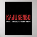 Search for kung fu posters Fighting