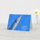 Search for dolphin cards Blue