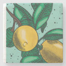 Search for lemony fresh Yellow
