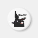 Search for boise magnets State