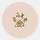 Search for pet paw stickers Birthday