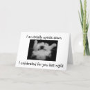 Search for ragdoll kitten cards Photography