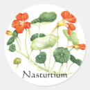Search for nasturtium stickers Garden