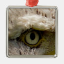 Search for eagle christmas tree decorations Animals