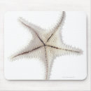 Search for skeleton mouse mats Animals