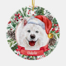 Search for samoyed christmas tree decorations Watercolor